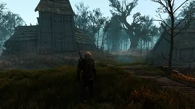Velen Swamp