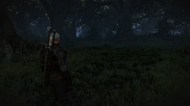 Mod Leshen Forest New Transition