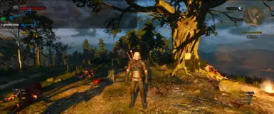 Imported Items Overhaul at The Witcher 2 Nexus - mods and community