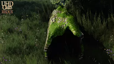 main file moss