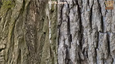 Texture Comparison