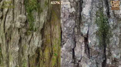 Texture Comparison