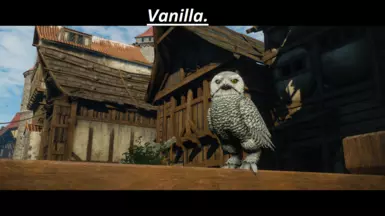Vanilla.