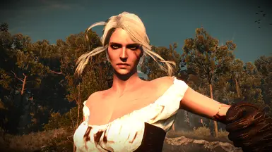 Lore Accurate Ciri Face
