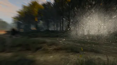 Salt Bomb