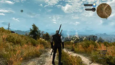 Content Expansion - Time of the Sword and Axe at The Witcher 3