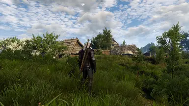 Next gen grass