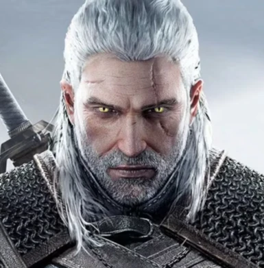 Geralt Hair and Beard NonHW Redone