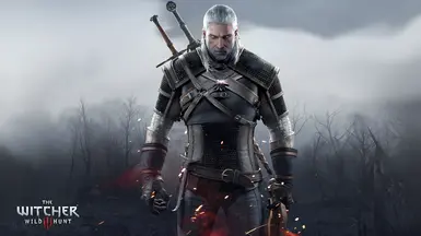 Geralt Hair and Beard NonHW Redone