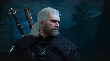 Iorveth stunned by Geralt at The Witcher 2 Nexus - mods and community HD  wallpaper