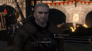 Novigrad
