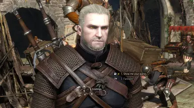 Novigrad