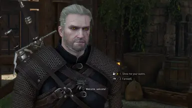Novigrad