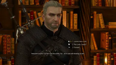 Novigrad