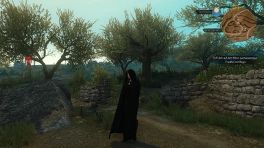 Bruxa Cloak for Geralt Doppler