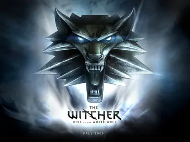 Rise of the White Wolf and Witcher 2 Medallions