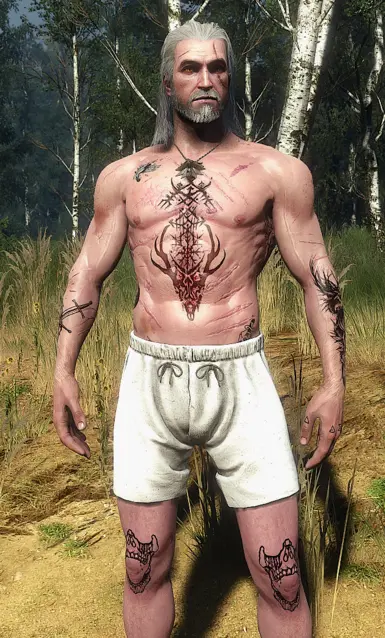 Main file for vanilla Geralt