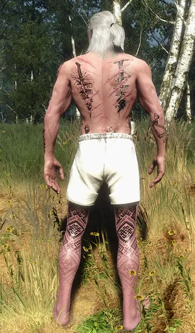 Main file for vanilla Geralt