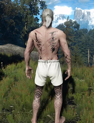 Optional file for Pale Geralt (Brutal face based)