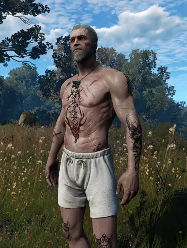 Optional file for Pale Geralt (Brutal face based)