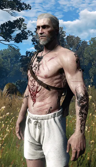 Optional file for Pale Geralt (Brutal face based)