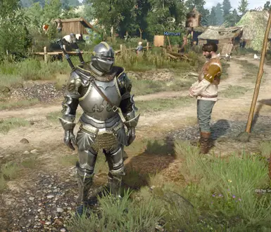 Gryphon Knight Armour DLC - NEXT GEN Armor at The Witcher 3 Nexus ...