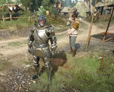 Gryphon Knight Armour DLC - NEXT GEN Armor at The Witcher 3 Nexus ...