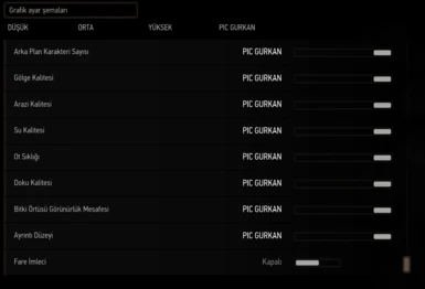 Change Graphic Settings to ''PIC GURKAN''