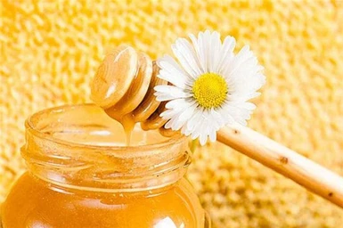 Honey Workshop in Corvo Bianco