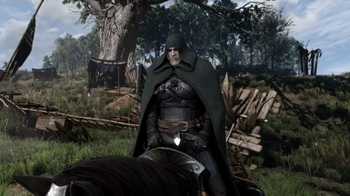Steam Community :: Guide :: All The Mods That I Use For The Witcher