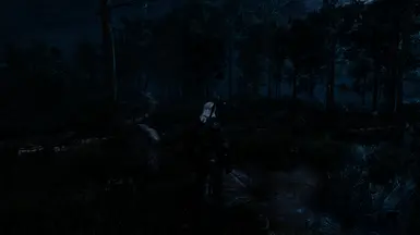 RealWitcher 3 Grimdark Reshade Next GEN