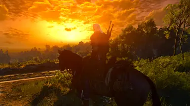 Start in White Orchard