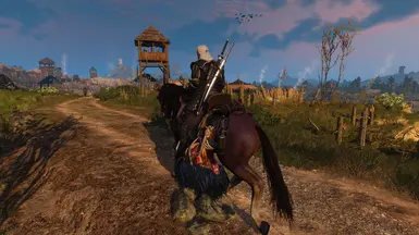 Start in Velen, but the right way
