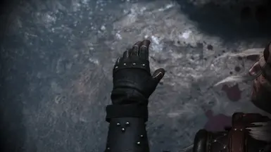 Optional Mastercrafted Wolf Gloves Retexure