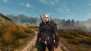 One face reboot mesh and Witcher 2 Styled Geralt (Paler), Netflix long lose yellowish, Weathered face