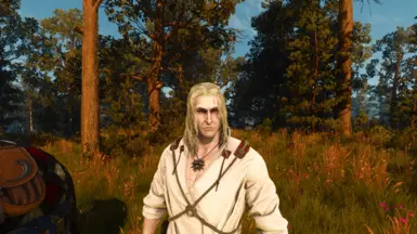 One face reboot mesh and Witcher 2 Styled Geralt (Paler), Netflix long lose yellowish, Weathered face