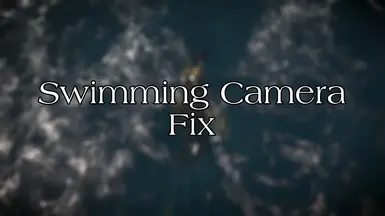 Swimming Camera Fix