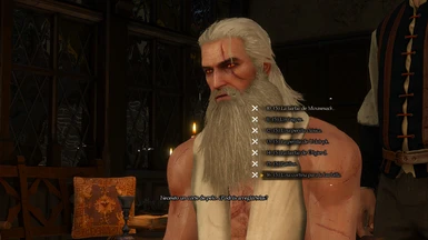 New Hairstyles and Beards For Geralt - Spanish