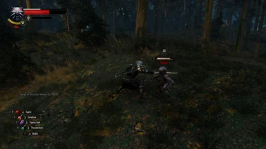 Consistent Sword Animations