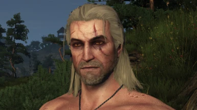 Vanilla Geralt Enhancements by OFG