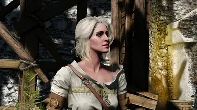 Today's new mods at The Witcher 3 Nexus - Mods and community