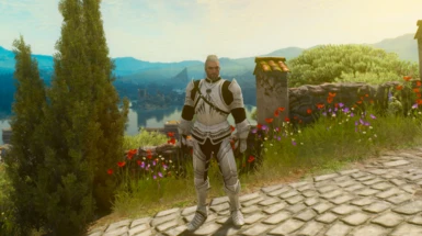 White Hen Gaidth armor set