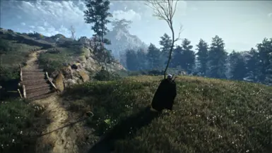 Old Gen Version