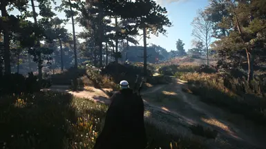 Old Gen Version