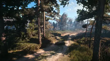 Old Gen Version