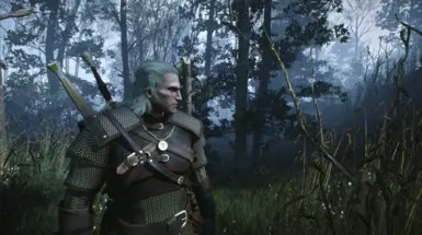 Old Gen Version