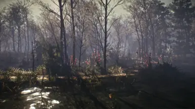 My Reshade + BlitzFX ON 