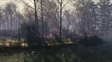 My Reshade + BlitzFX OFF