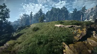 Reshade ON + PLM + BlitzFX