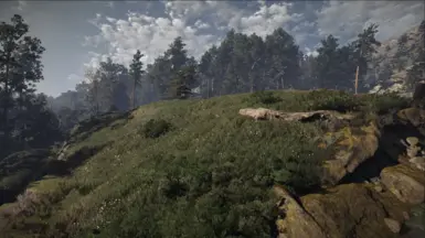 Reshade OFF + PLM + BlitzFX